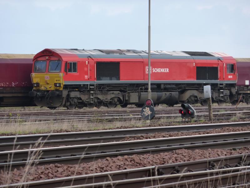 db red 66: 66101 sitting at falkland yard Photo of db red 66