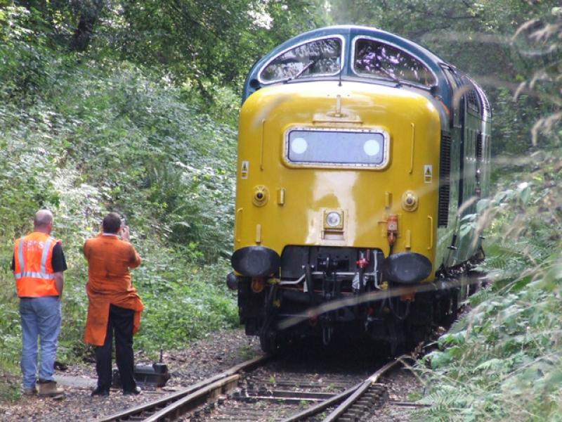 55022: 55022 seen here at Birkhill loop about to run round it's train during the Bo'Ness diesel gala weekend. Date of photo is 30-9-06. Photo of 55022