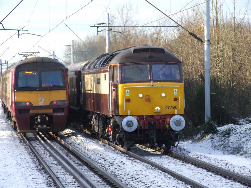 Those darn units get everywhere.......at the wrong time!!: Bowled by a unit at Uddingston -18/12/11. Photo of Those darn units get everywhere.......at the wrong time!!