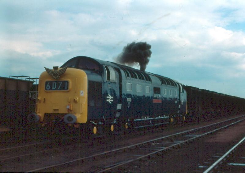 Photo of D9000 Peterborough West Ward April 1985 - enroute to Perth Open day