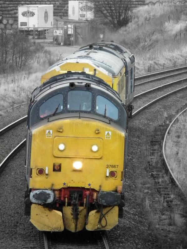6Z31 @ Keith loop: Snow, rain and a bit of sun! Photo of 6Z31 @ Keith loop
