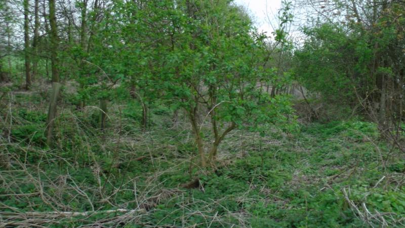 Crombie line 2012 07: Photo of Crombie line 2012 07