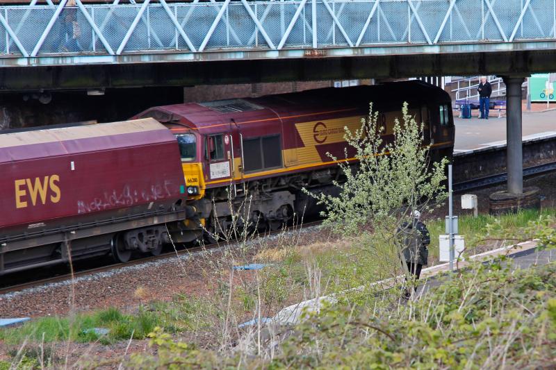 Spot the spotter: Well known celebrity photter caught grabbing one last pic of Euroshed 66218 on 6G06 Hunterston - Longannet behind the bushes at Larbert station Photo of Spot the spotter