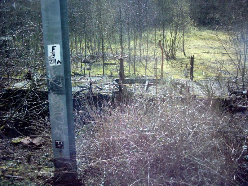 Photo of shettleston  remains of a burnt out brake van.jpg