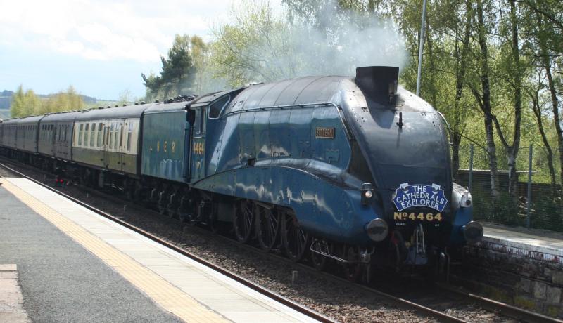 A4 Bittern as LNER 4464: Bittern cruising though Ladybank thia afternoon at 1354 Photo of A4 Bittern as LNER 4464