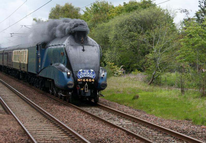 Bittern Longniddry: Bittern passing Longniddry on The Catherdrals Explorer Photo of Bittern Longniddry