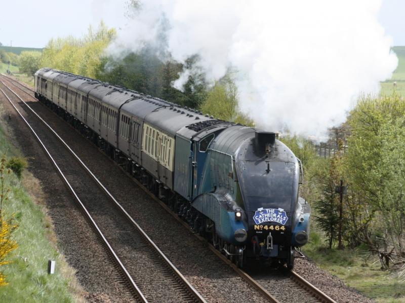 Bittern heading for Perth.: Bittern having just crested the summit at Locmuir heading for Perth Photo of Bittern heading for Perth.