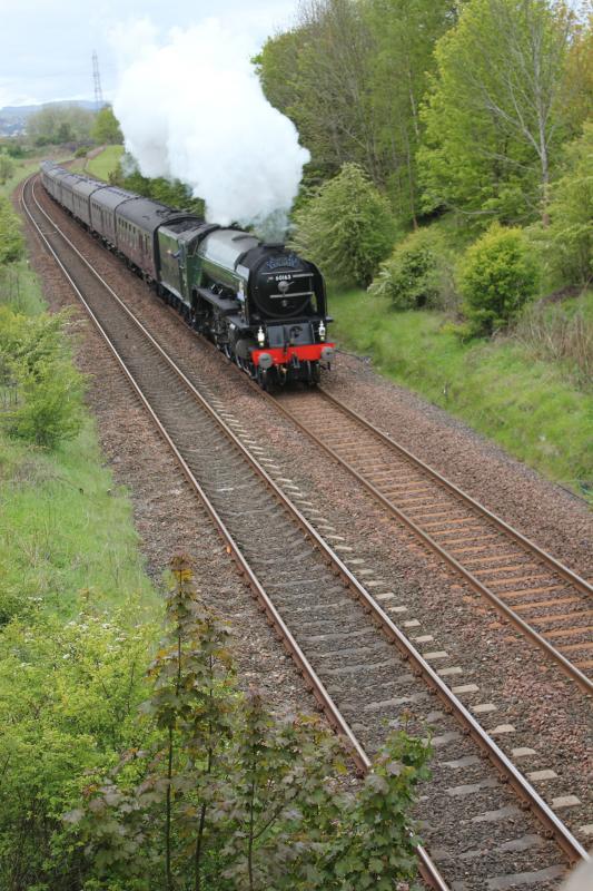 60163 Tornado: Heading north at Luncarty Photo of 60163 Tornado