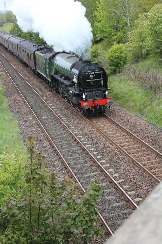 60163 Tornado: Heading north at Luncarty Photo of 60163 Tornado