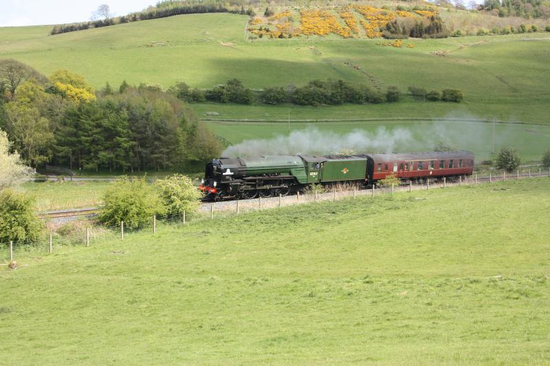 60163 'tornado' lindores.: Photo of 60163 'tornado' lindores.