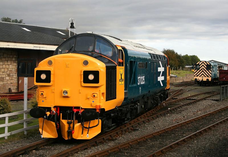 37025: 37025 makes its first public appearance after refurbishment during the Bo'Ness Autumn Diesel Gala on 29.09.07. Photo of 37025