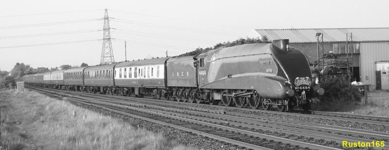 Bittern @ Larbert Jct: Photo of Bittern @ Larbert Jct
