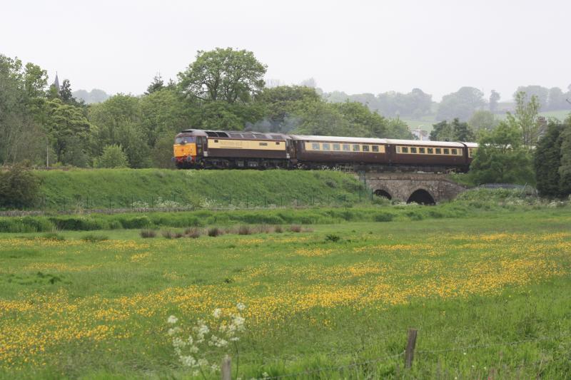 Northern belle : Northern belle exits Cupar in a dreich drizzle . Photo of Northern belle