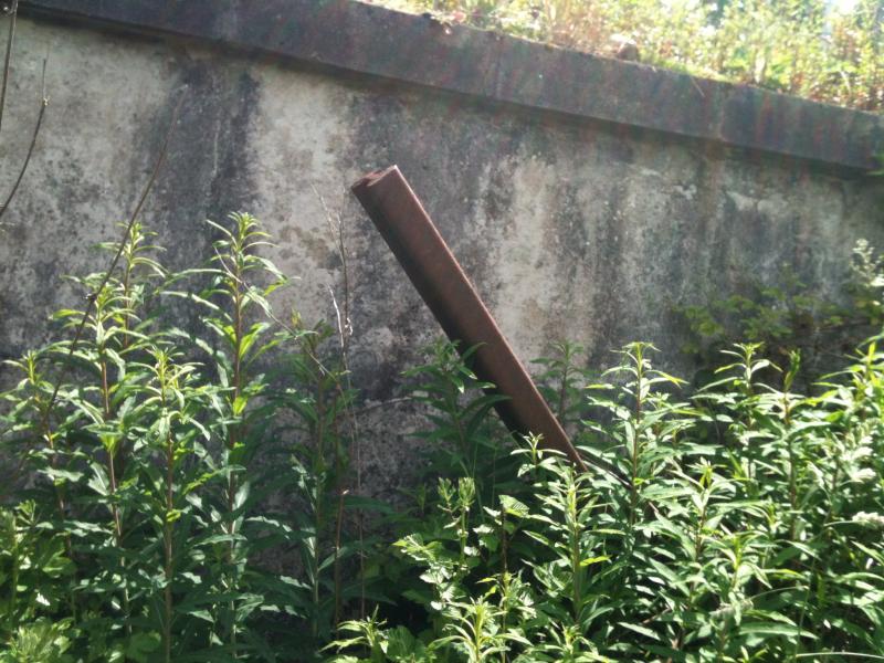 Paisley Canal - Elderslie: Photo of Paisley Canal - Elderslie