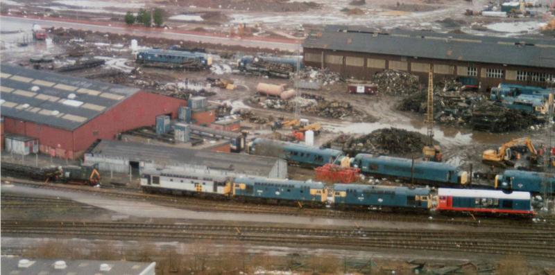 Loco's For The Chop at MC Metal's 2: A line up of Loco's awaiting the chop at MC Metals Photo of Loco's For The Chop at MC Metal's 2