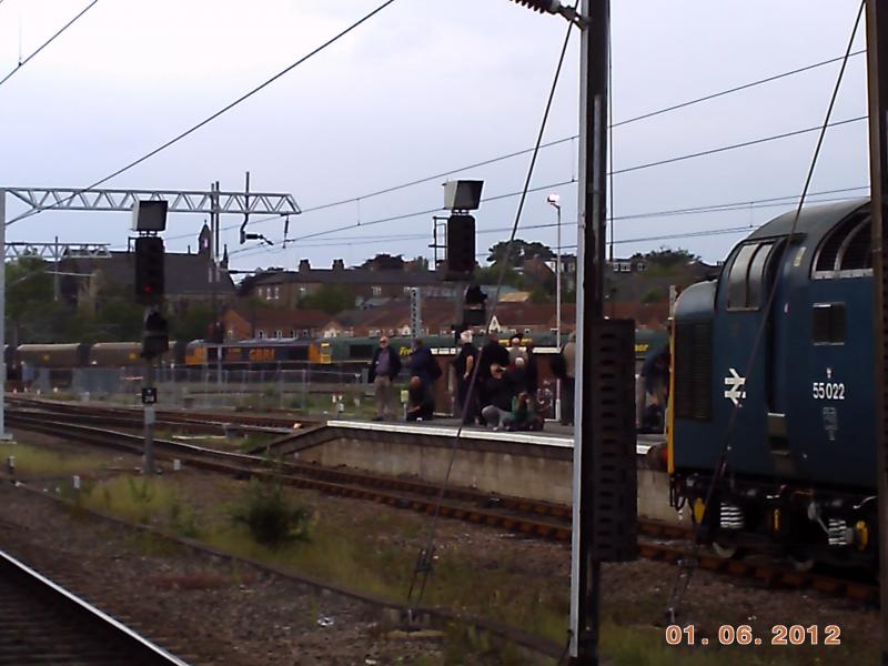66s and a Deltic!: a GBRF 66 passes two Freightliner 66s with 55022 Royal Scots Grey waiting in York. 2/6/12 Photo of 66s and a Deltic!