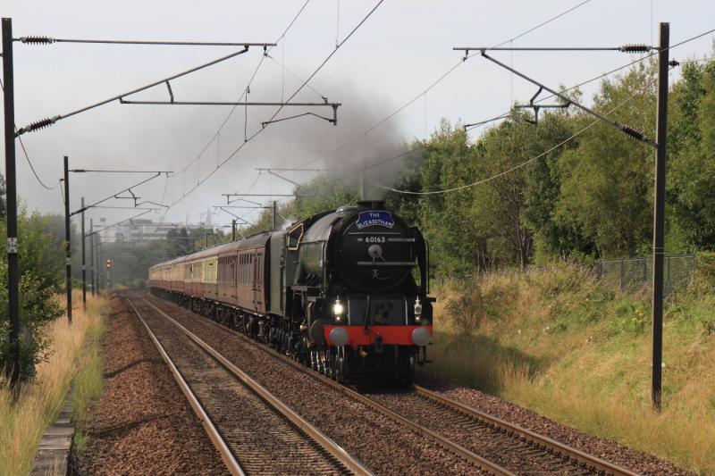 60163 on The Elizabethan: 60163 Photo of 60163 on The Elizabethan