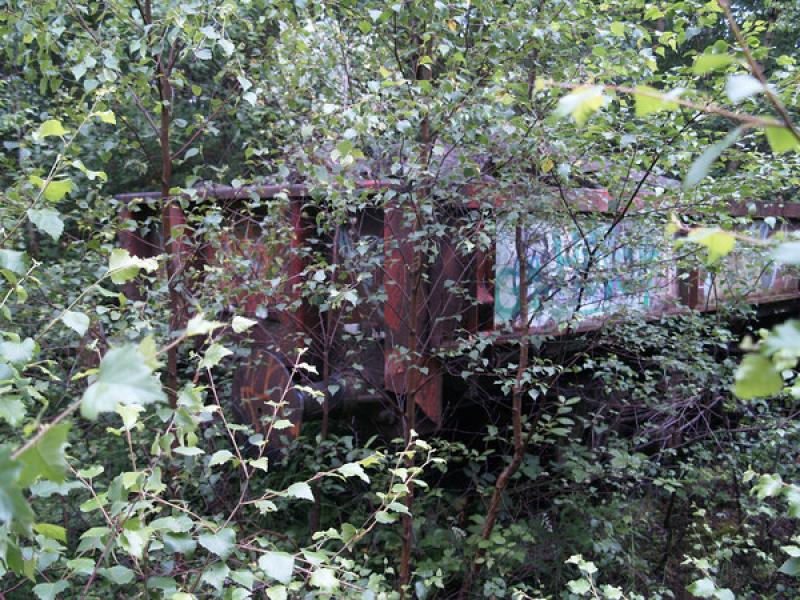 460951 Shettleston: SPA 460951 in the bushes at Shettleston 3rd July 2012 Photo of 460951 Shettleston