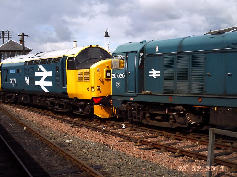 37175 and 20020: 37175 W.S.Sellar and 20020 waits to couple on to its train on 29/7/12. Photo of 37175 and 20020