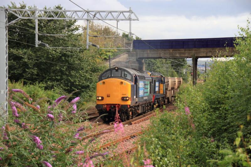 6M50 through the Bushes: 37605 + 20301 on 6M50 15.07 Torness to Carlisle leaving Millerhill on 23/08/2012, this location has gone now unless Network Rail poison or dig up the Buddleia Photo of 6M50 through the Bushes