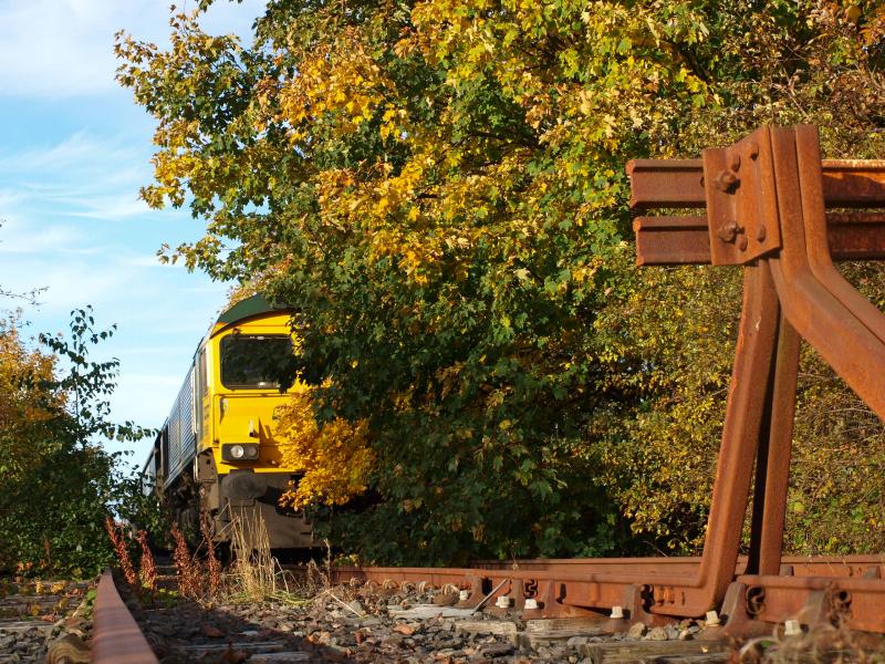Troon - 21-10-2012: Freightliner 66591 stabled amongst the undergrowth at the very bottom of Barassie Yard (former Troon avoiding line). Photo of Troon - 21-10-2012