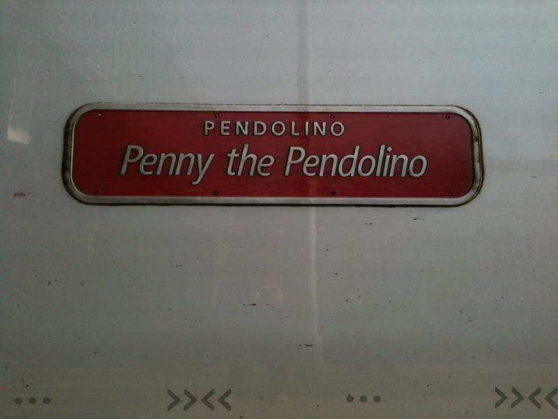 Penny - 1: Photo of Penny - 1