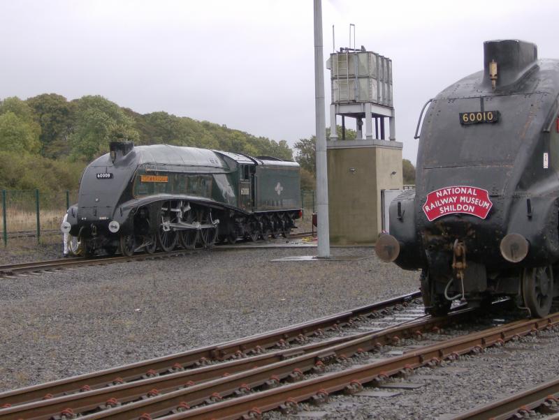 Pair of A4s: Dwight D Eisenhower and Dominion of Canada together at Shildon on 16.10.12 Photo of Pair of A4s