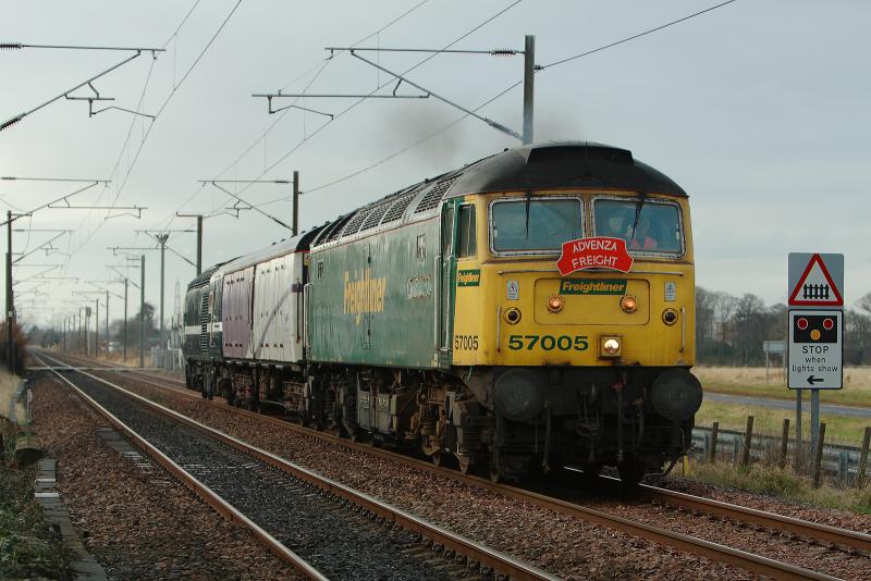 Mr Marauder, Marauding!: Photo of Mr Marauder, Marauding!