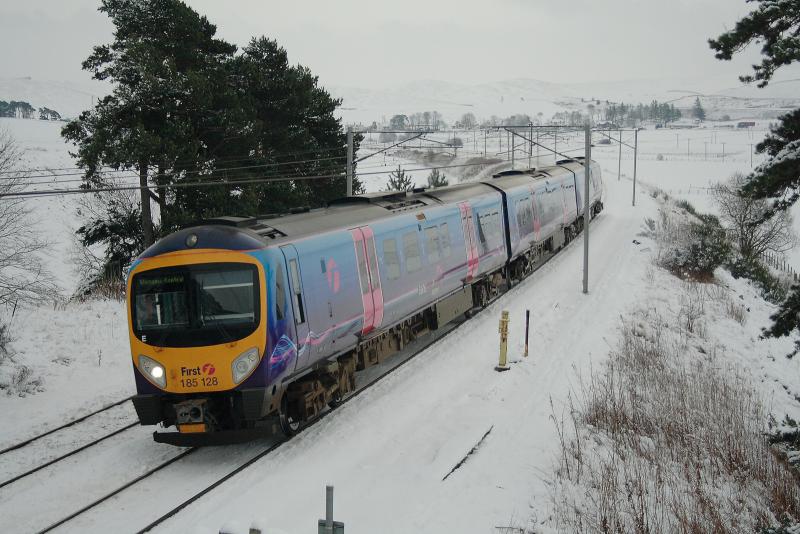 Winter Wonderland: Photo of Winter Wonderland