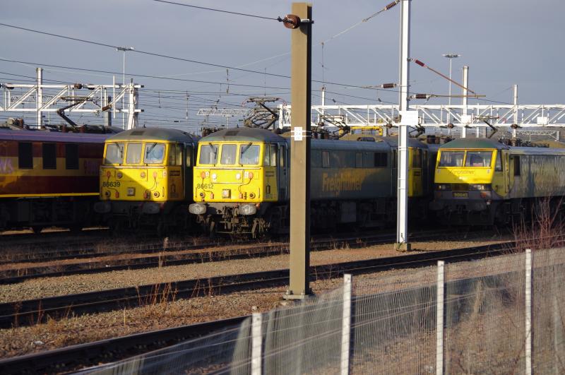 Mossend: EWS 90035, 90018. Freightliner 86639, 86612, 86609, 90045. 18.12.12. Photo of Mossend