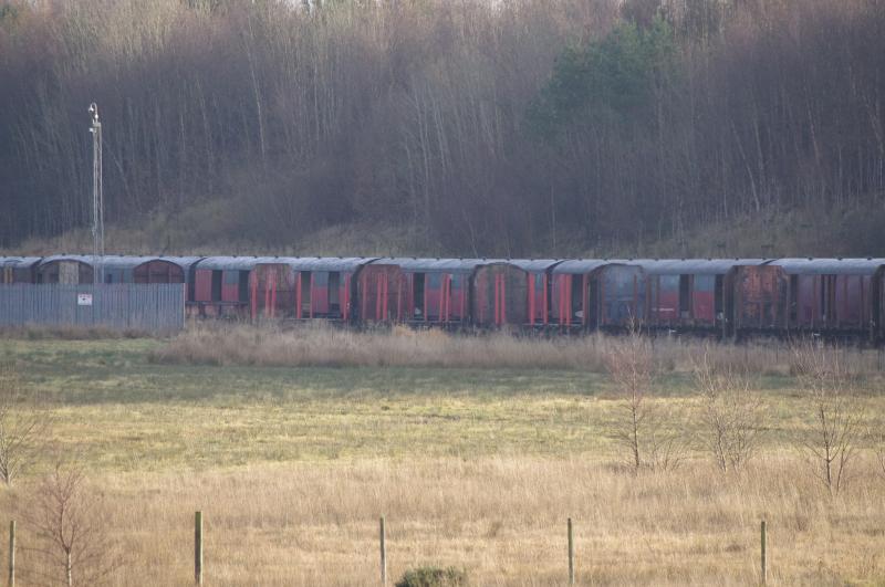 Mossend: Mossend 18.12.12. Stored res mail and timber wagons. Photo of Mossend