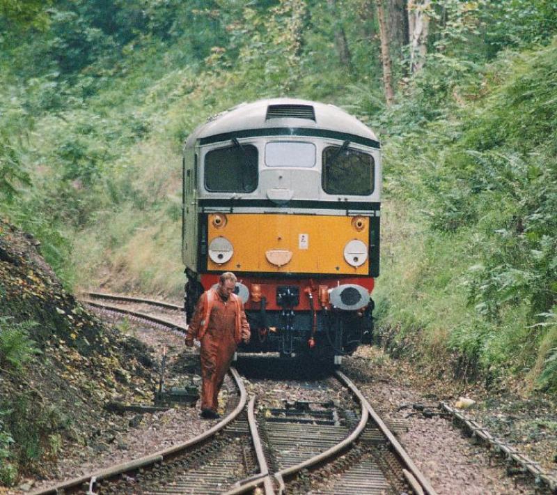 Photo of 47643 & D5310 Birkhill