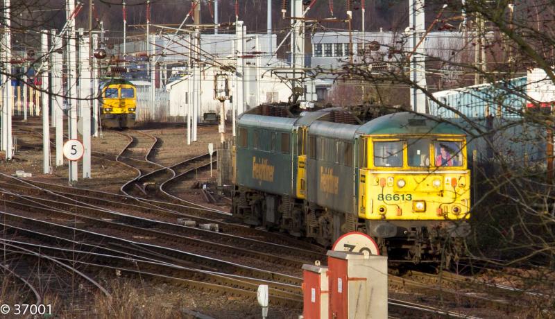 86613 & 86605 & 66623 at Mossend close up: 86613 & 86605 depart on 0M74 to Coatbridge FLT whilst the illusive Bardon liveried 66623 sits at the back of Mossend yard. Photo of 86613 & 86605 & 66623 at Mossend close up