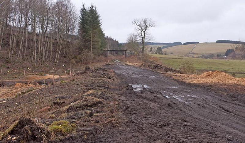 Fountainhall - 9th February 2013: Tangible progress being made at Fountainhall with further de vegetation well underway. Looking north on 9th February 2013. Photo of Fountainhall - 9th February 2013