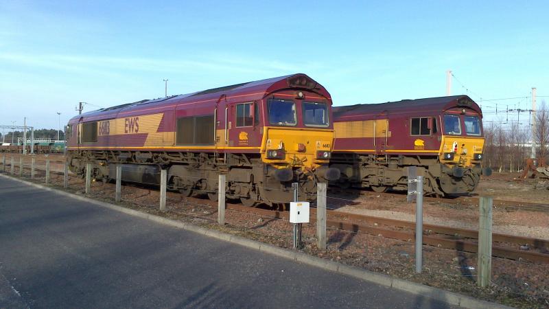 66113 at Mossend Yard: 66113 stabled at Mossend Yard with 66089 behind it (17.02.13). Photo of 66113 at Mossend Yard
