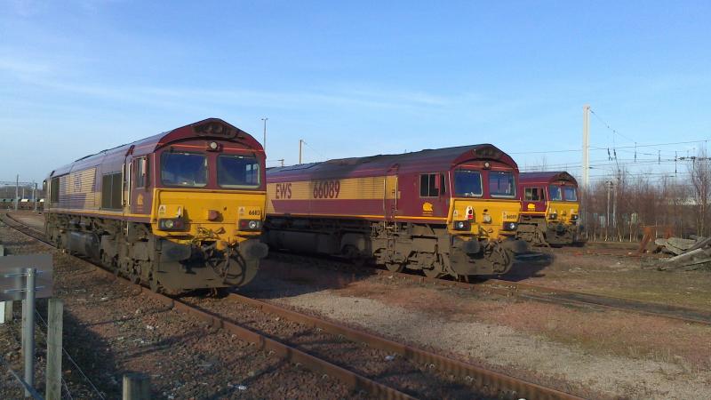 Trio of 66's at Mossend: From left to right 66113, 66089 & 66111 stabled at Mossend Yard (17.02.13). Photo of Trio of 66's at Mossend