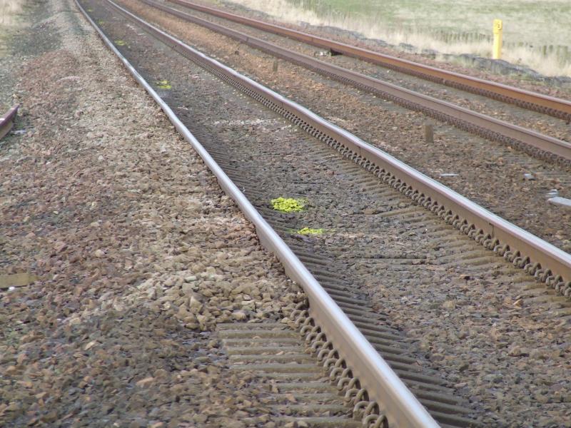 Mysterious paint in four-foot near Bow of Fife LC: This is a photo of the paint applied - possibly by a stoneblower? - mentioned in my report Photo of Mysterious paint in four-foot near Bow of Fife LC