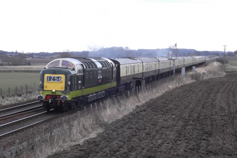 Photo of D9009 'Alycidon' at Park Farm