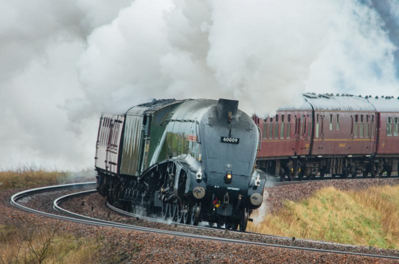 Making Steam: LNER A4 Pacific, Union of South Africa makes lots of steam while approachng Cowdenbeath with this mornings run of The Fife Circle SRPS tour.
The image is a bit wishy washy as it was taken through a heavy drizzle. Photo of Making Steam