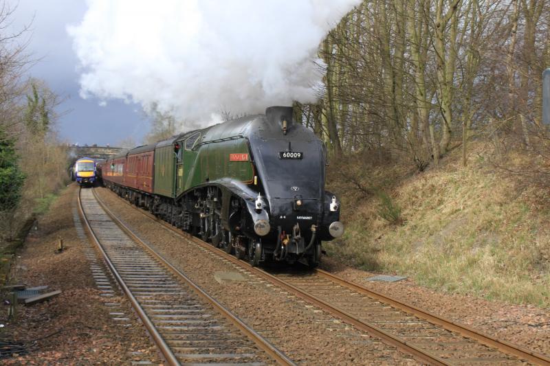 60009 in the sun: 60009 on 1Z29 09.50 Linlithgow to Dalmeny Photo of 60009 in the sun