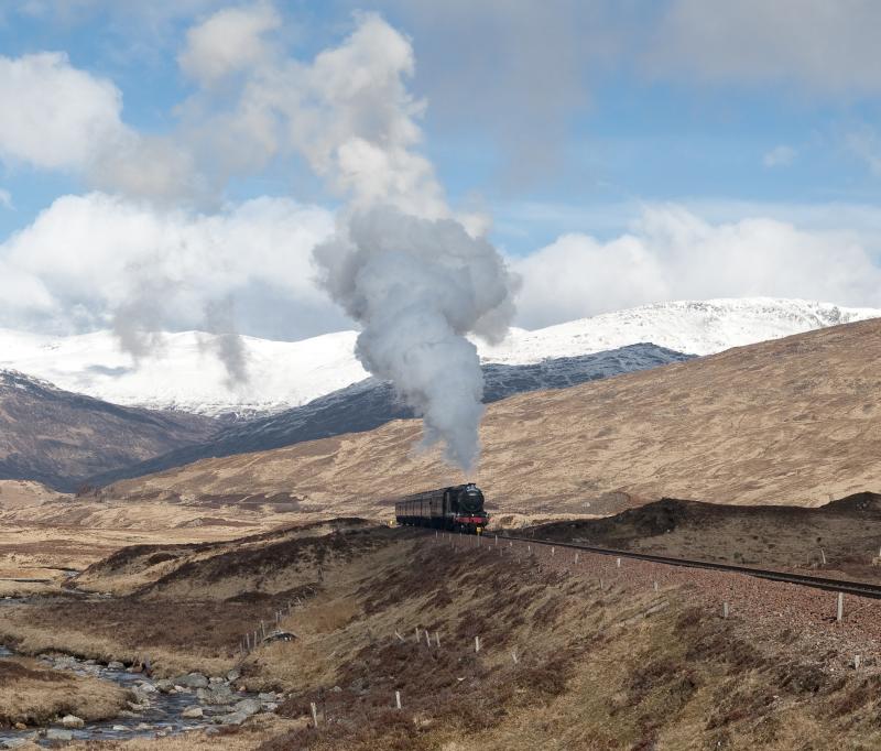 Great Marquess: Steam in the Highlands - 61994 storming up the climb to Corrour on 27.4.13. What a phenomenal wee engine! Photo of Great Marquess