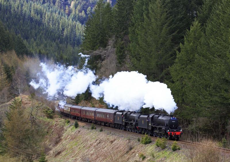 GB VI through the forests: Black Fives 44871 + 45407 with the GB VI near Dunkeld, travelling south on 27th April 2013. Photo of GB VI through the forests