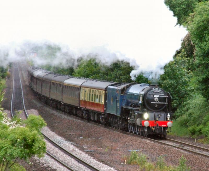 60163 thunders through Larbert with 1Z63 for Inverness.: 60163 thunders through Larbert with 1Z63 for Inverness. Photo of 60163 thunders through Larbert with 1Z63 for Inverness.