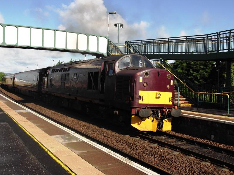 37516 on Royal Scotsman: 37516 seen at Camelon this morning on 1st July 2013. Working 1H88 Wemyss Bay to Edinburgh. Photo of 37516 on Royal Scotsman