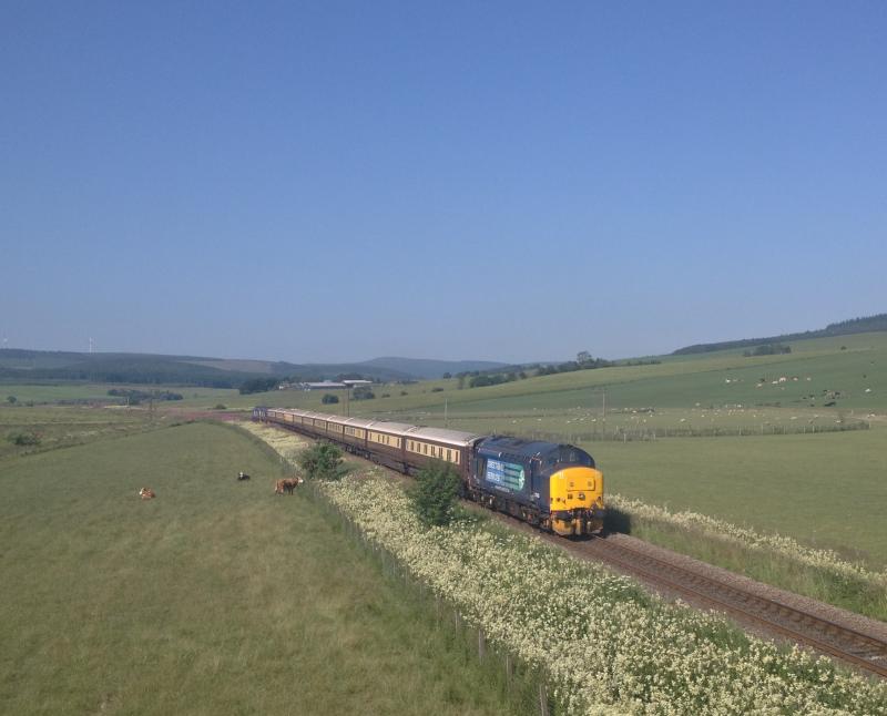 37425 20/07/13 Northern Belle near Keith: Photo of 37425 20/07/13 Northern Belle near Keith