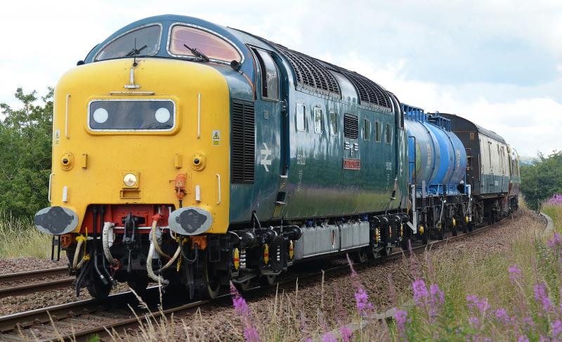 Stewarton Deltic: Close up of 55022 near Stewarton on 6Z53 Yoker to Kilmarnock Brodies unit move on 37th July 2013 Photo of Stewarton Deltic