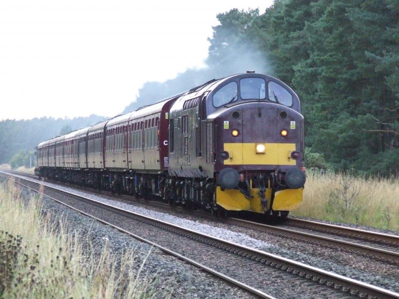 37516 on Railtour ECS: 37516 heads a rake of coaches and Deltic 55022 on rear north of Ladybank on Friday 13/9/13. This train then ran Saturday's Inverurie to Oban railtour. Photo of 37516 on Railtour ECS