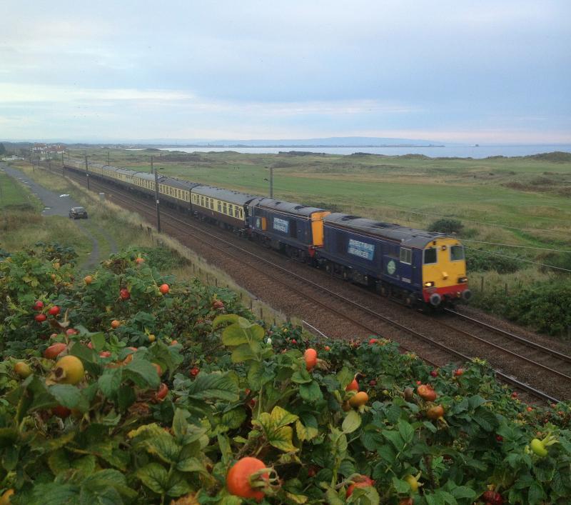 Photo of 20's Autumn Highlander at Gailes