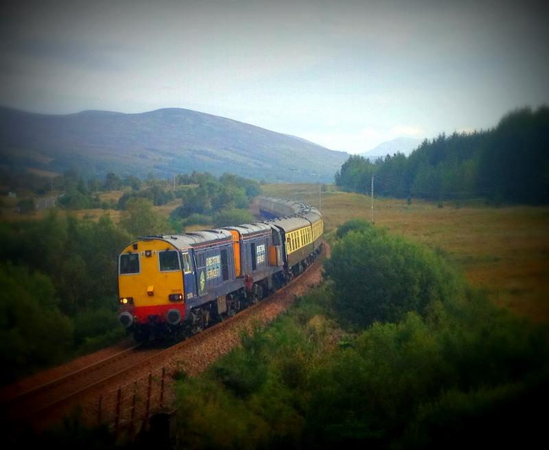 20's Autumn Highlander at Achnabobane: Photo of 20's Autumn Highlander at Achnabobane