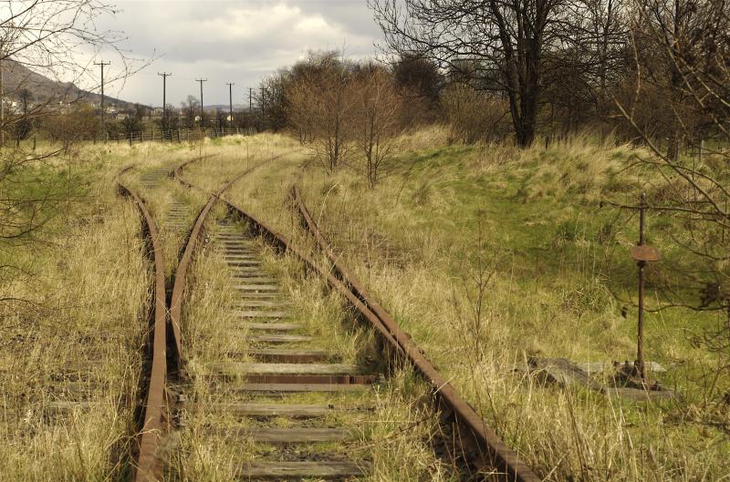 Sidings .jpg: Overgrown Sidings at Menstie. Photo of Sidings .jpg
